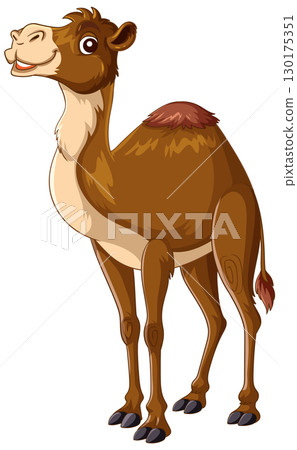 Smiling Cartoon Camel Standing in Profile View Smiling Cartoon Camel Standing in Profile View 130175351