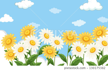 Daisy Flowers in Bloom Under Blue Sky with Clouds Daisy Flowers in Bloom Under Blue Sky with Clouds 130175382