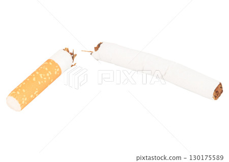 Broken Cigarette with Tobacco Spilling Out on White Background 130175589