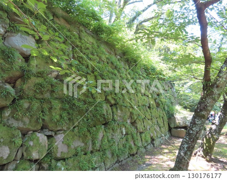 和歌山城是紀州德川家族的歷史遺址,是和歌山縣的象徵,矗立在虎風山上。 和歌山城是紀州德川家族的歷史遺址,是和歌山縣的象徵,矗立在虎風山上。 130176177