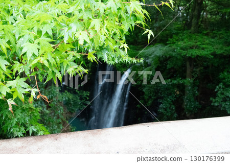 水流過綠葉 130176399