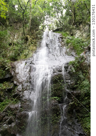 大川瀑布是日本百大瀑布之一，在夏日陽光下閃閃發光 130176431