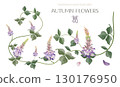 Watercolor illustration of kudzu (one of the seven herbs of autumn) 130176950