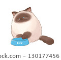 Cat staring at empty food bowl 130177456