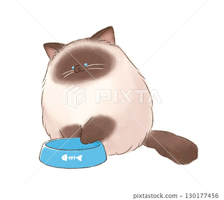 Cat staring at empty food bowl 130177456