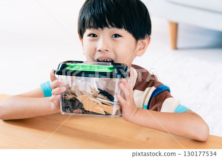 A boy observing a stag beetle A boy observing a stag beetle 130177534