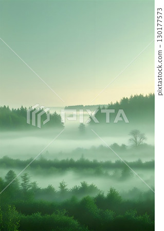Coniferous trees rise through dense fog, creating a serene forest scene. 130177573