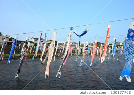 鴨川上的鯉魚旗（新潟縣） 130177768