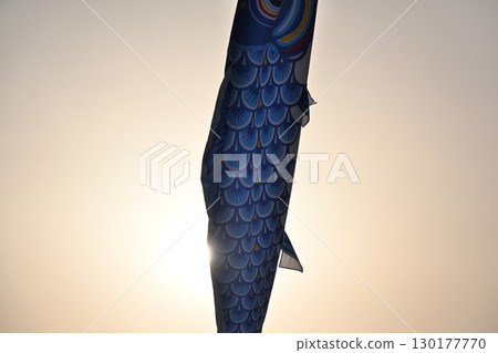 鴨川上的鯉魚旗(新潟縣) 鴨川上的鯉魚旗(新潟縣) 130177770