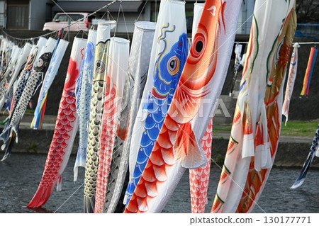 鴨川上的鯉魚旗（新潟縣） 130177771