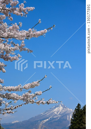 磐梯山和會津的櫻花（福島縣） 130177891
