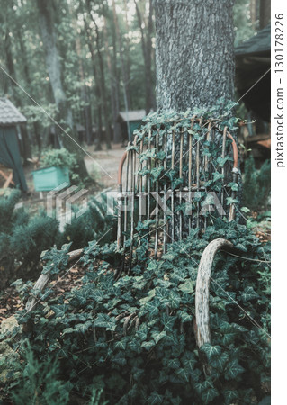 Old overgrown rocking chair near tree in an abandoned foggy creepy garden 130178226