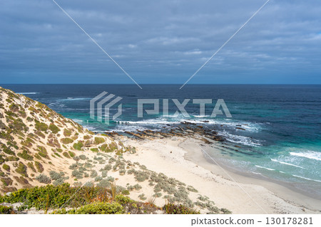Seals resting on the sandy beach of Seal Bay, in Kangaroo Island, Australia 130178281
