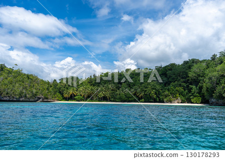 Paradise beach and island, Togian Islands, Sulawesi, Indonesia Paradise beach and island, Togian Islands, Sulawesi, Indonesia 130178293