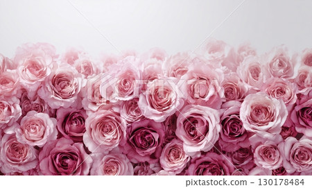 Pink gradient rose background 130178484