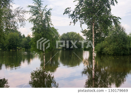 natural landscape during flood, trees standing in water 130179669