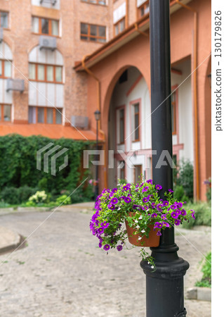 Flowerpot with petunia flowers in front of an old building 130179826