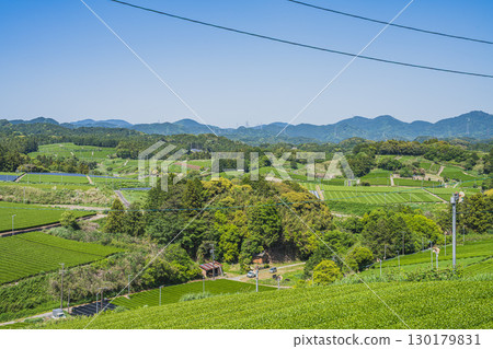 靜岡縣掛川市彗星探索之丘公園週邊茶園的景色 130179831