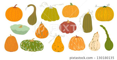 Pumpkins set hand drawn vector illustration in warm orange colors, vegetable for seasonal autumn, fall holidays celebration design, healthy vegetarian diet ingredient, Thanksgiving, Halloween clipart Pumpkins set hand drawn vector illustration in warm orange colors, vegetable for seasonal autumn, fall holidays celebration design, healthy vegetarian diet ingredient, Thanksgiving, Halloween clipart 130180135
