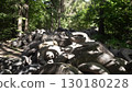 A dense and lush forest setting filled with discarded tires, emphasizing significant environmental concerns 130180228