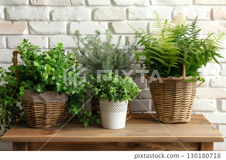 Assortment of lush green houseplants in pots and baskets on wood countertop 130180718