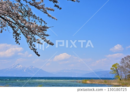 Mount Bandai and cherry blossoms in Aizu (Fukushima Prefecture) 130180725