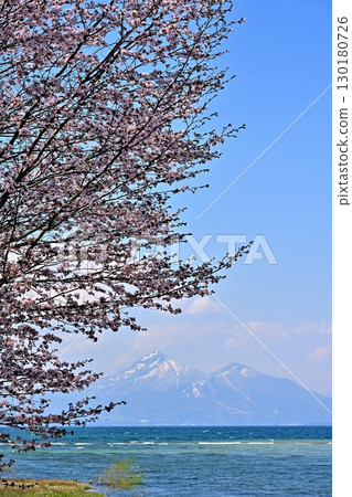 Mount Bandai and cherry blossoms in Aizu (Fukushima Prefecture) 130180726
