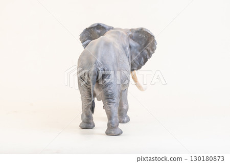 African elephant on isolated background 130180873