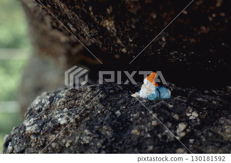 Sokolec Castle, ruins. A plastic dwarf figure lies under a rock, observing the peak opposite. funny trend in Polish mountains Sokolec Castle, ruins. A plastic dwarf figure lies under a rock, observing the peak opposite. funny trend in Polish mountains 130181592