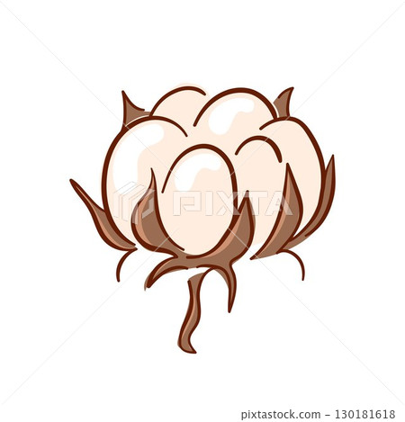 Flat style illustration of a single cotton boll with fluffy white fibers and brown shell isolated on white background. Perfect for textile farming and organic product design. Flat style illustration of a single cotton boll with fluffy white fibers and brown shell isolated on white background. Perfect for textile farming and organic product design. 130181618