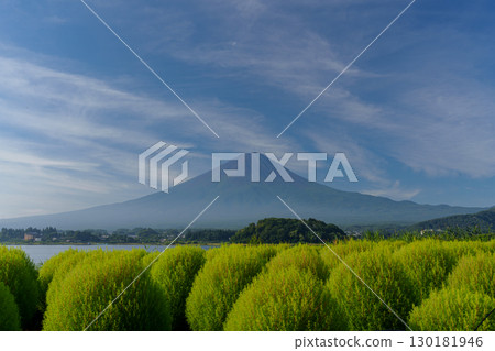 Summer Mt. Fuji Tour: Lake Kawaguchi, Oishi Park 130181946
