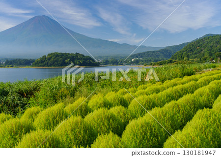 Summer Mt. Fuji Tour: Lake Kawaguchi, Oishi Park 130181947