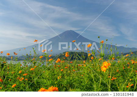 Summer Mt. Fuji Tour: Lake Kawaguchi, Oishi Park 130181948