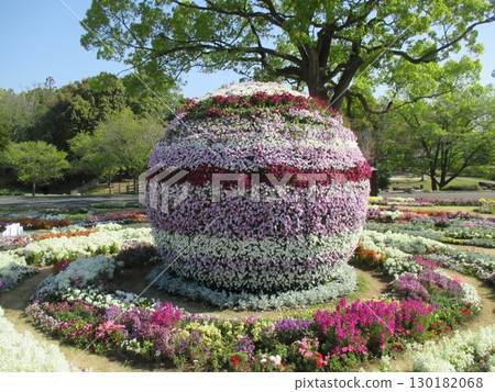 2022年熊本花卉與綠色博覽會（花博會）上展出的花球 130182068