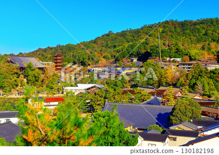 [Hiroshima Prefecture] Miyajima (Itsukushima Shrine) in autumn with red leaves 130182198