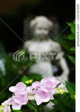 The charm of flowers that bloom in every season The charm of flowers that bloom in every season 130183885