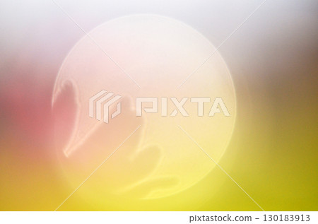 The charm of flowers that bloom in every season The charm of flowers that bloom in every season 130183913