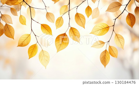 《AI Image》Autumn leaves 130184476