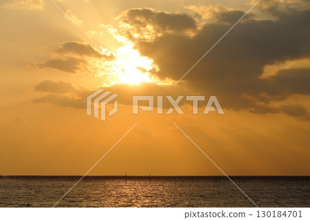 Omuta City Ariake Sea Nori field, 130184701