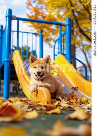 Smiling Shiba Inu posing on a slide 130185313