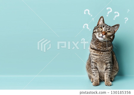 A unique cat sitting in a pose surrounded by question marks 130185356