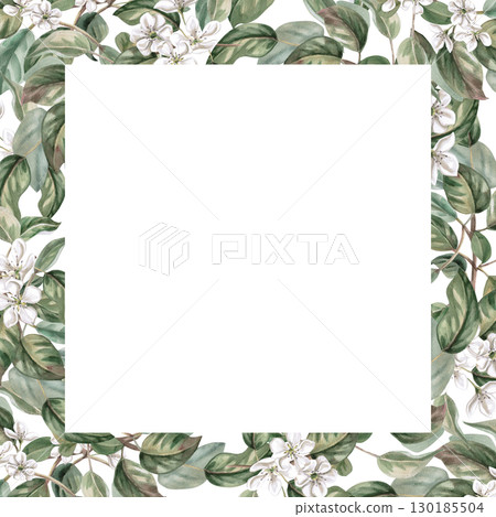 Square frame with blooming pear branches. Isolated watercolor fruit illustration for product line design, kitchenware design, seasonal menu, postcards, textiles, clothing printing. 130185504