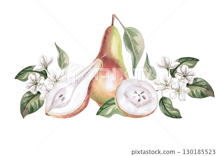 Composition with whole pear, parts and flowers. Isolated watercolor illustration of fruits for product line design, kitchenware design, seasonal menu, cards, textiles, clothing printing. Composition with whole pear, parts and flowers. Isolated watercolor illustration of fruits for product line design, kitchenware design, seasonal menu, cards, textiles, clothing printing. 130185523