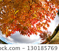 Landscape with autumn leaves 130185769