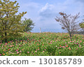 Scenery of a flower garden 130185789