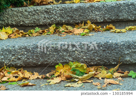 Concrete, stone, large steps of wide street staircase, between which autumn fallen yellow dry leaves of trees have accumulated. A symbol of onset of seasonal changes in nature and weather. Concrete, stone, large steps of wide street staircase, between which autumn fallen yellow dry leaves of trees have accumulated. A symbol of onset of seasonal changes in nature and weather. 130185994