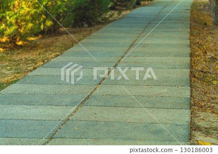 Surface of pedestrian walking path from low angle with perspective stretching into distance, in background resting on front. Outdoor public spaces in an urban environment. 130186003