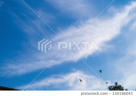 Landscape: A background of blue sky with blurred particles of clouds or other components in the upper atmosphere flowing in the wind. Displacement, the passage of time, abstract manifestations Landscape: A background of blue sky with blurred particles of clouds or other components in the upper atmosphere flowing in the wind. Displacement, the passage of time, abstract manifestations 130186043