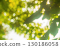 Blurred defocus yellow, green background of a vegetative environment. Designed for an abstract backdrop in artworks to create an atmosphere of being in a natural space next to trees. 130186058