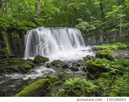 Clear stream flowing through the fresh green Clear stream flowing through the fresh green 130186063